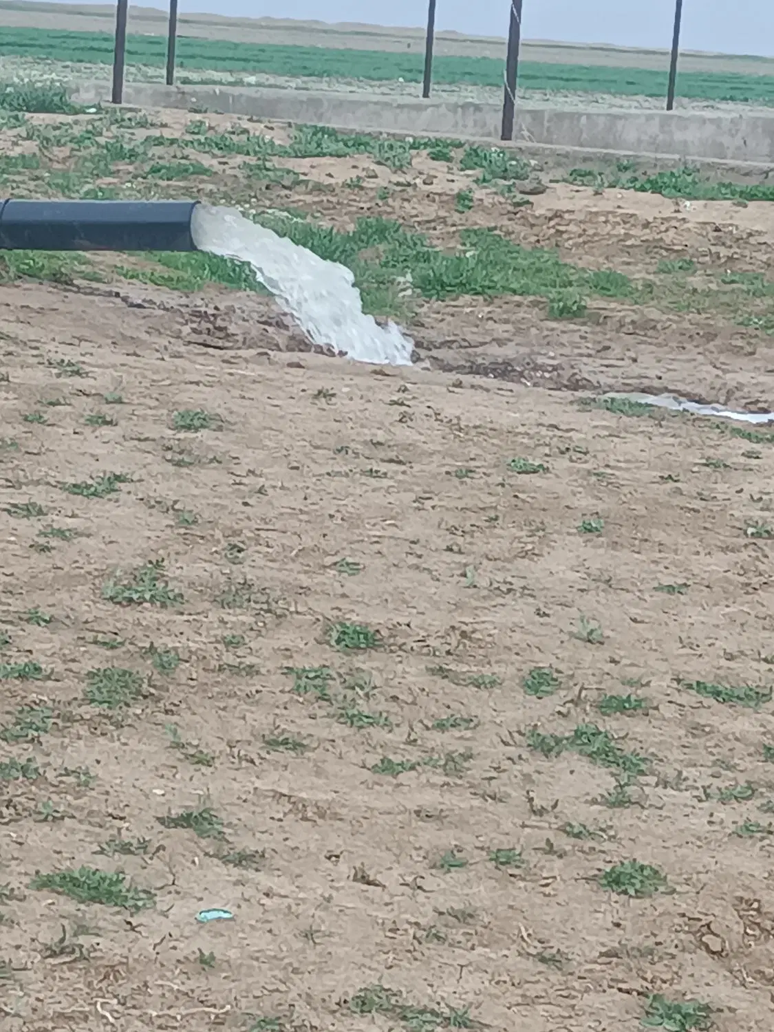 زمین کشاورزی برقی بارانی ابباریک 0917456068هکتار
