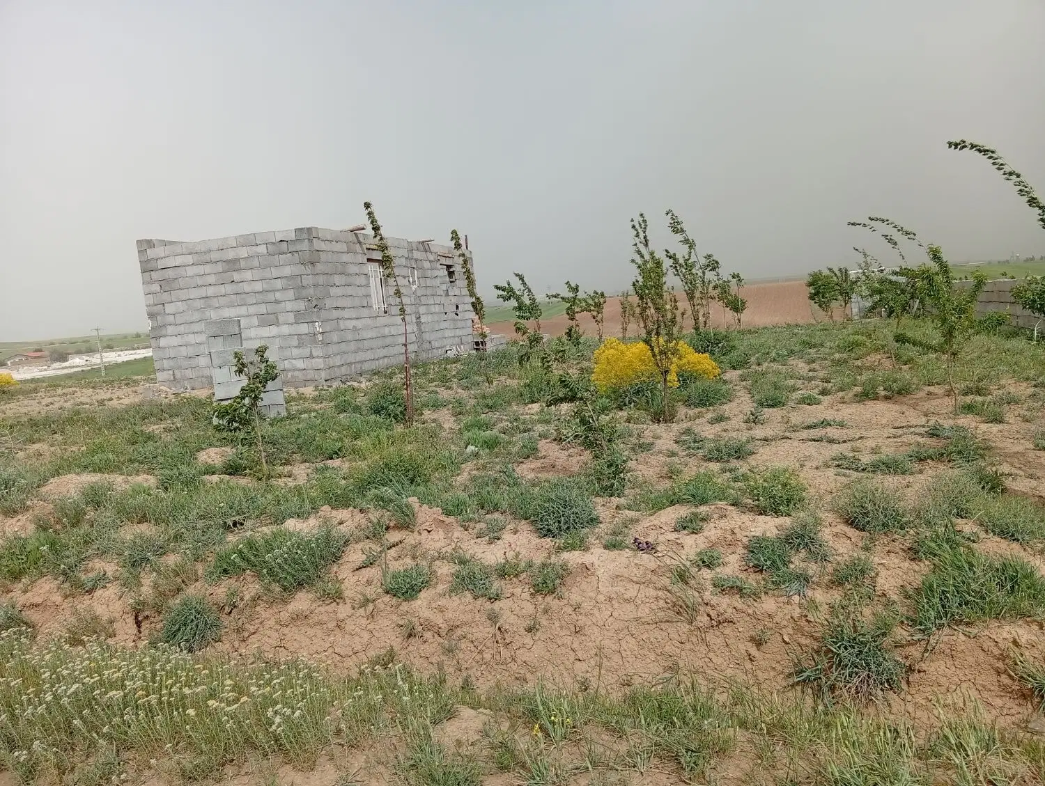زمین و باغ