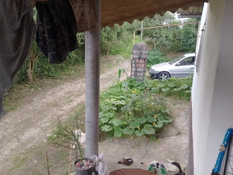 رهن اجاره خونه ویلایی