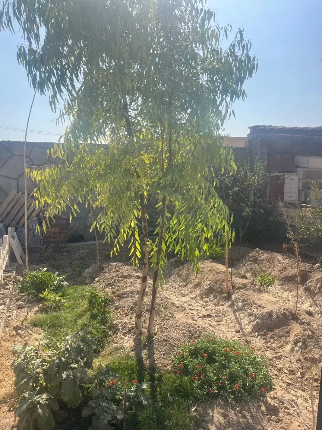 باغ500 متری با مجوز و امکانات معاوضه با خودرو