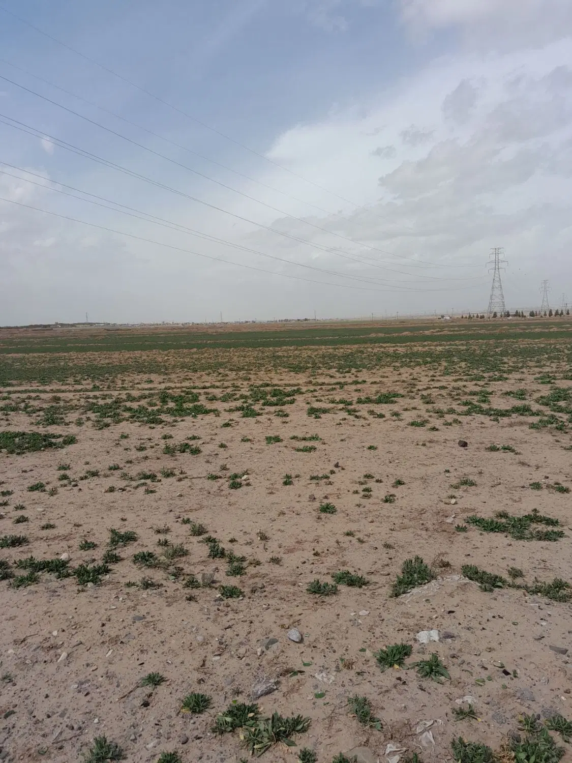 زمین فروشی