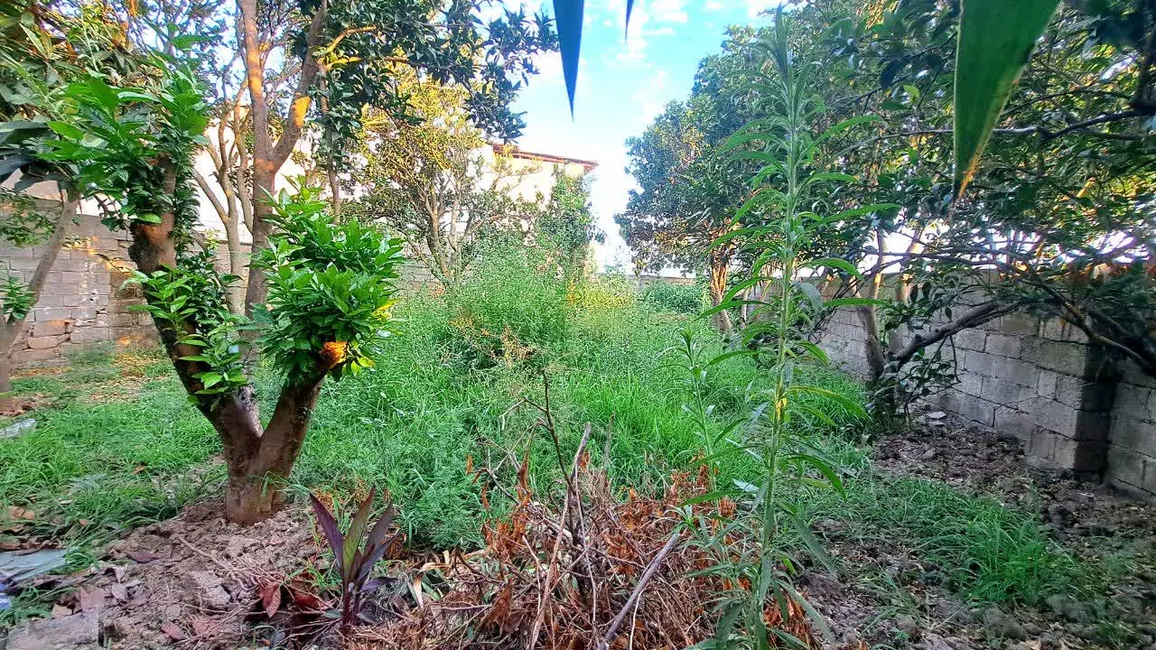 341متر خانه روستایی نزدیک شهر و دریا_سنددار