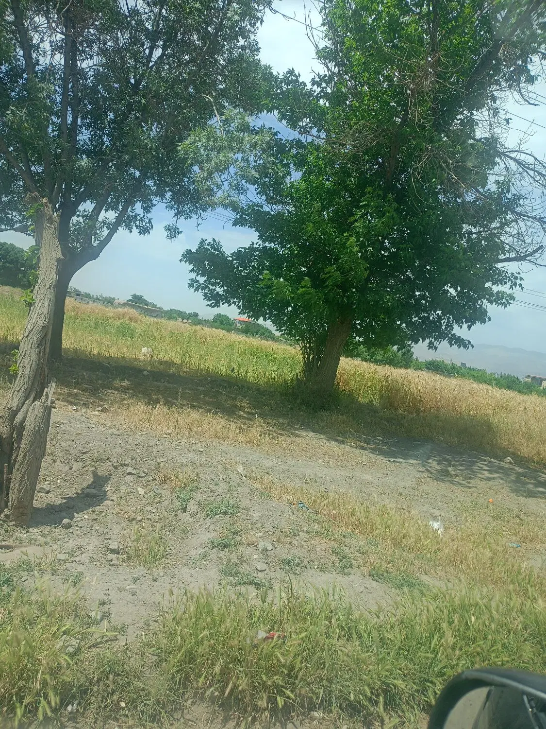 زمین