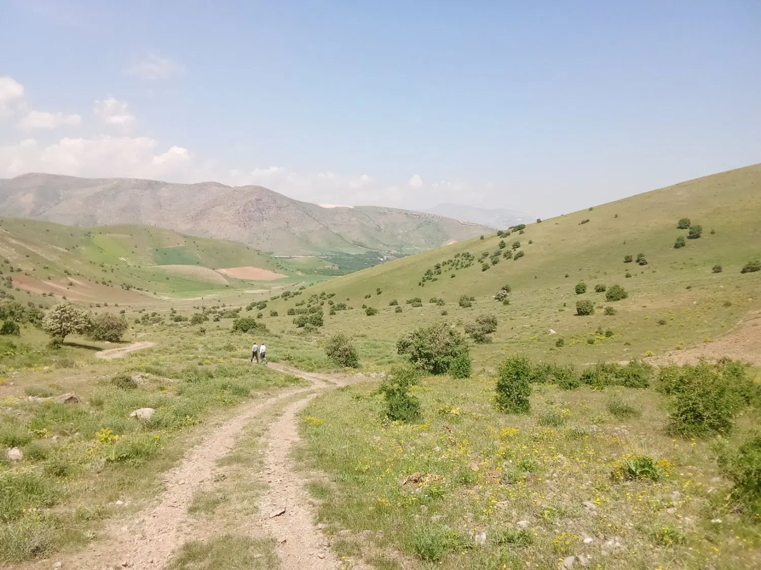 امتیاز  زمین دادگستری