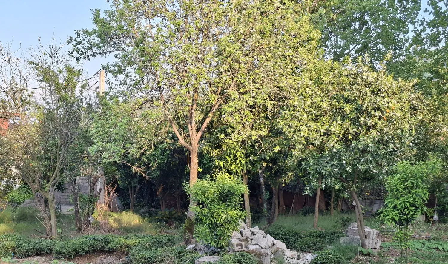زمین سنددار مسکونی
