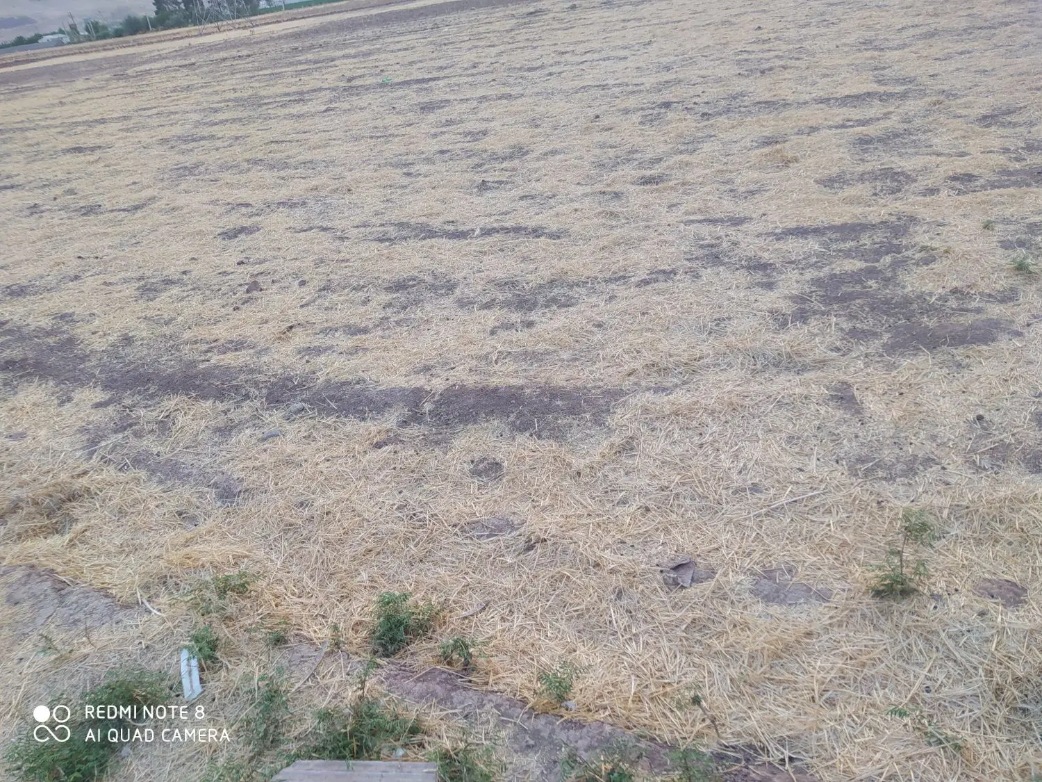 زمین کشاورزی مسکونی