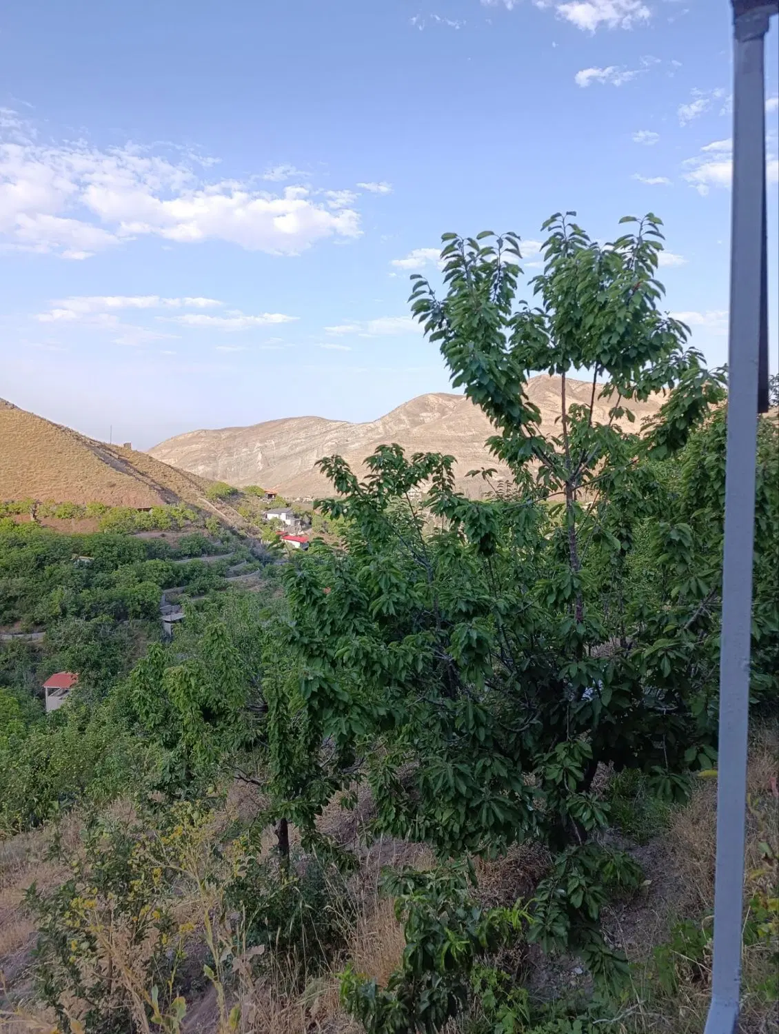 متراژ زمین از100متر به بالا در برگجهان لواسان کوچک