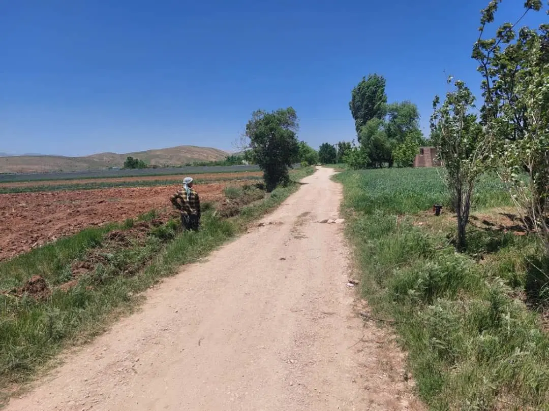 زمین