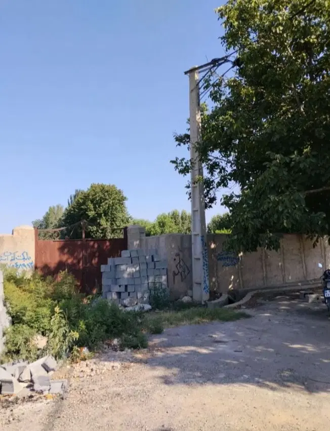 باغ انگوری
