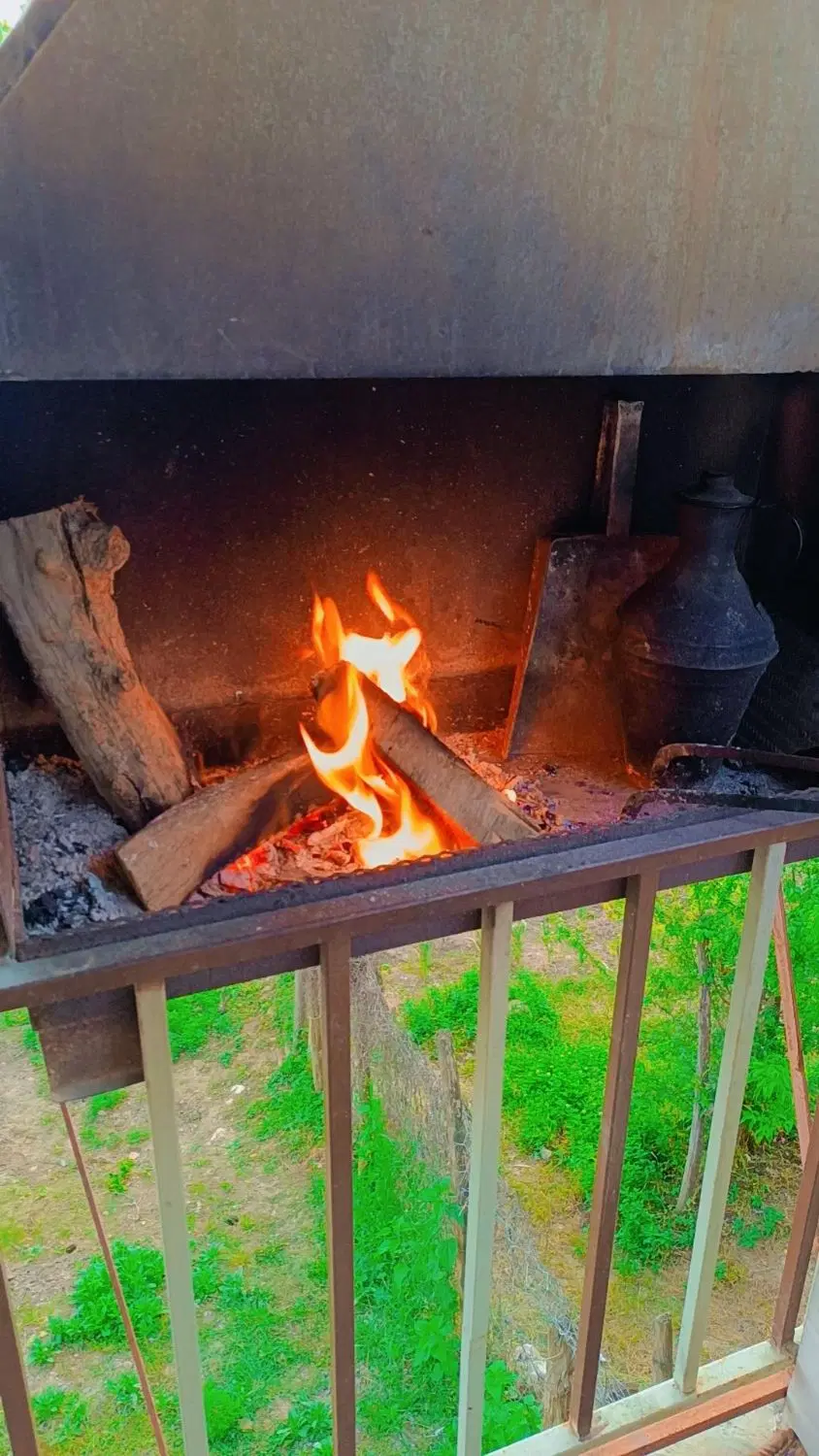ویلای جنگلی باویویی ابدی