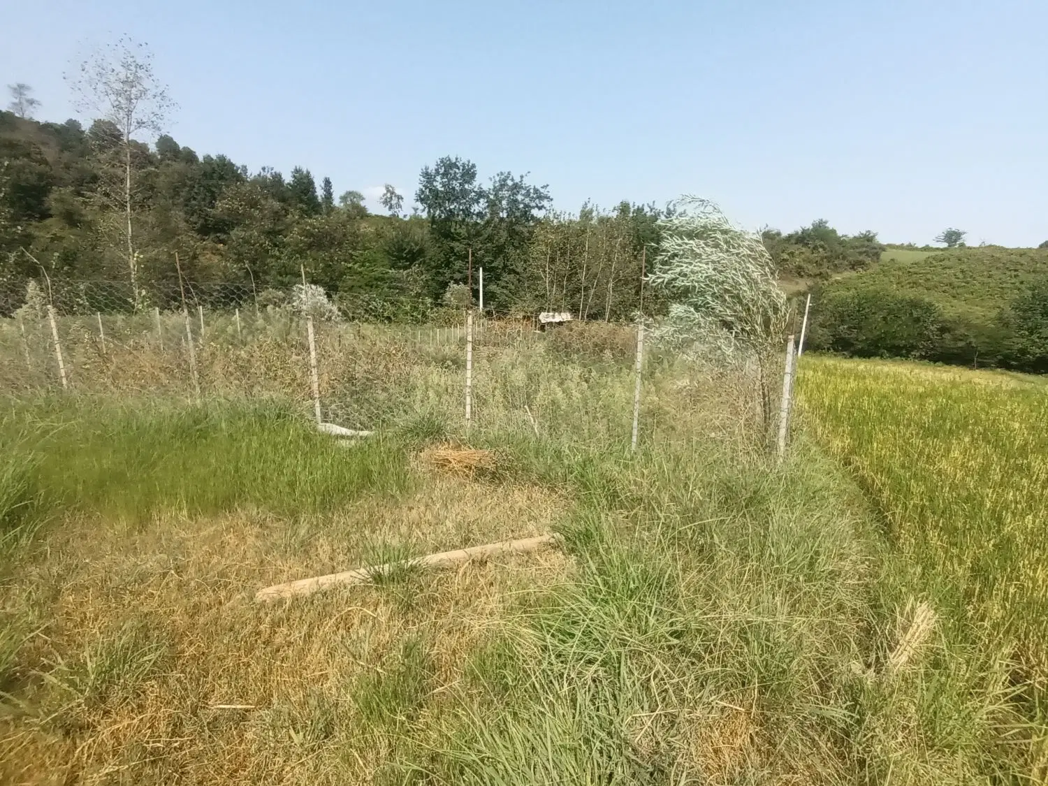 فروش زمین برِ خیابان