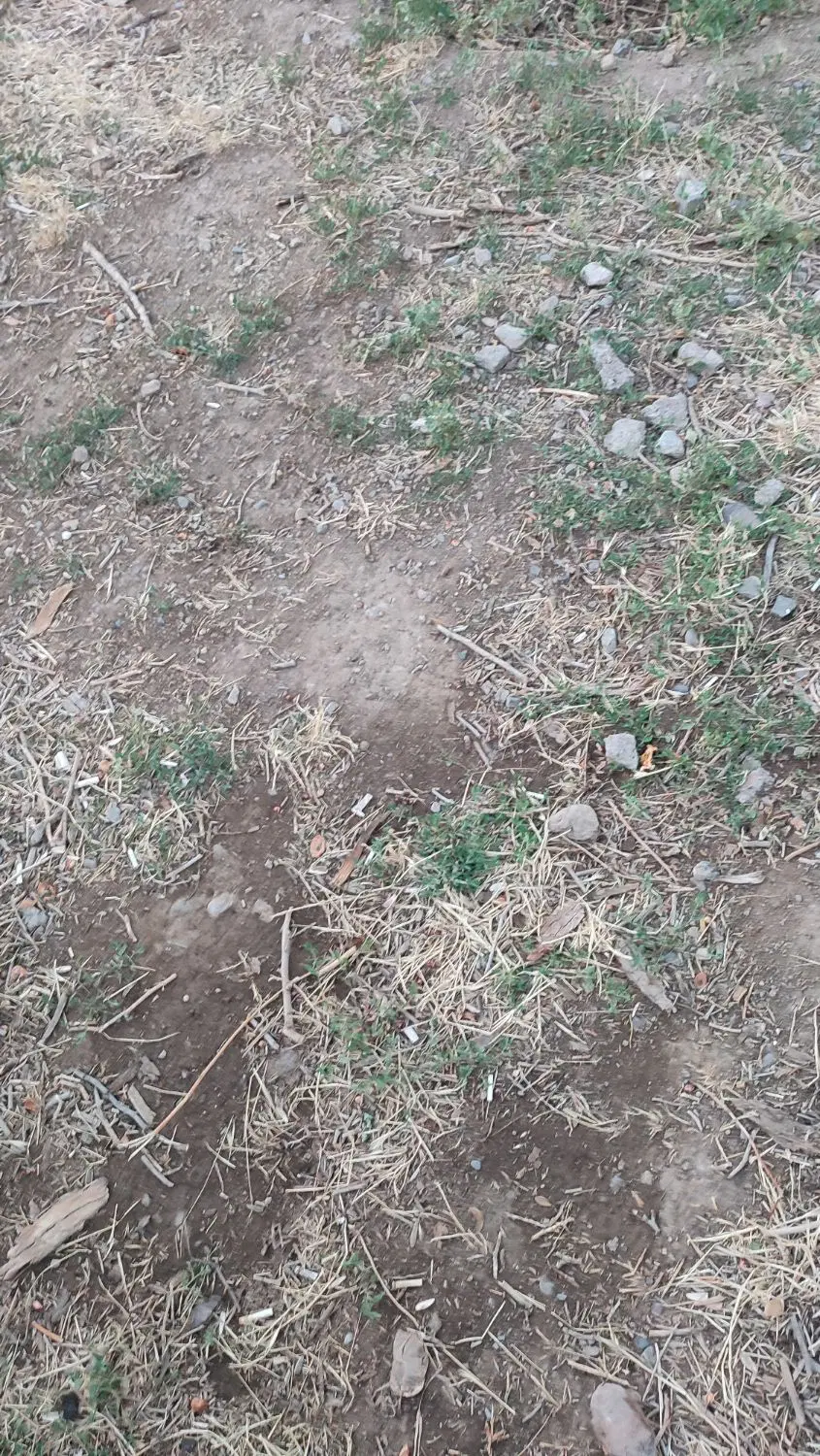 زمین مسکونی