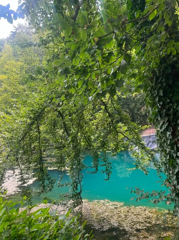 زمین۴۳۰متر_تلفیق رویایی ازدریاجنگل کوه وعطرشالیزار