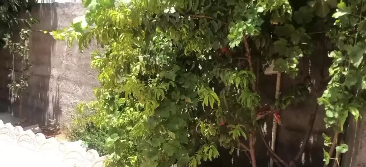 اجاره خانه ویلایی سه خواب در تل خسرو