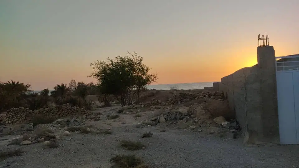 زمین لب دریا . زمین ساحلی .  سند تک برگ