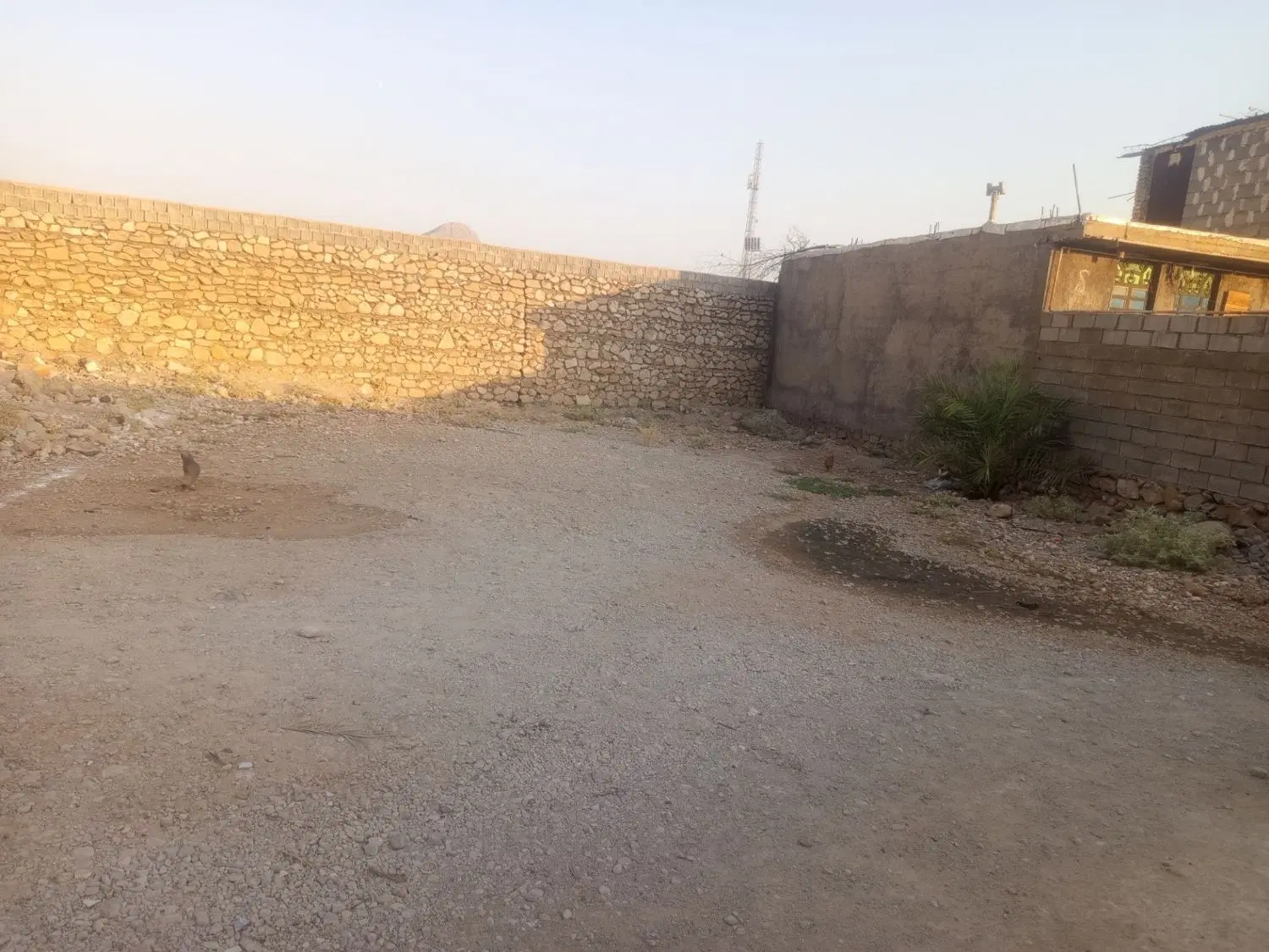 زمین مسکونی