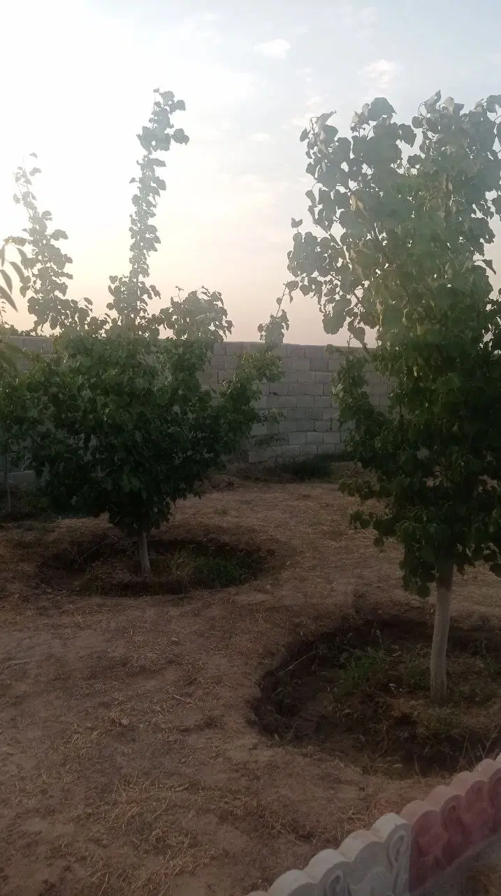 باغ