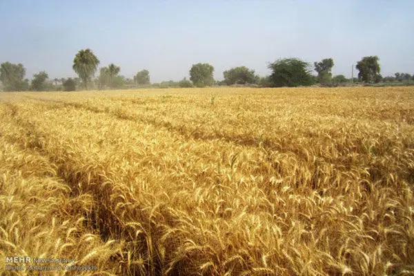 فروش زمین