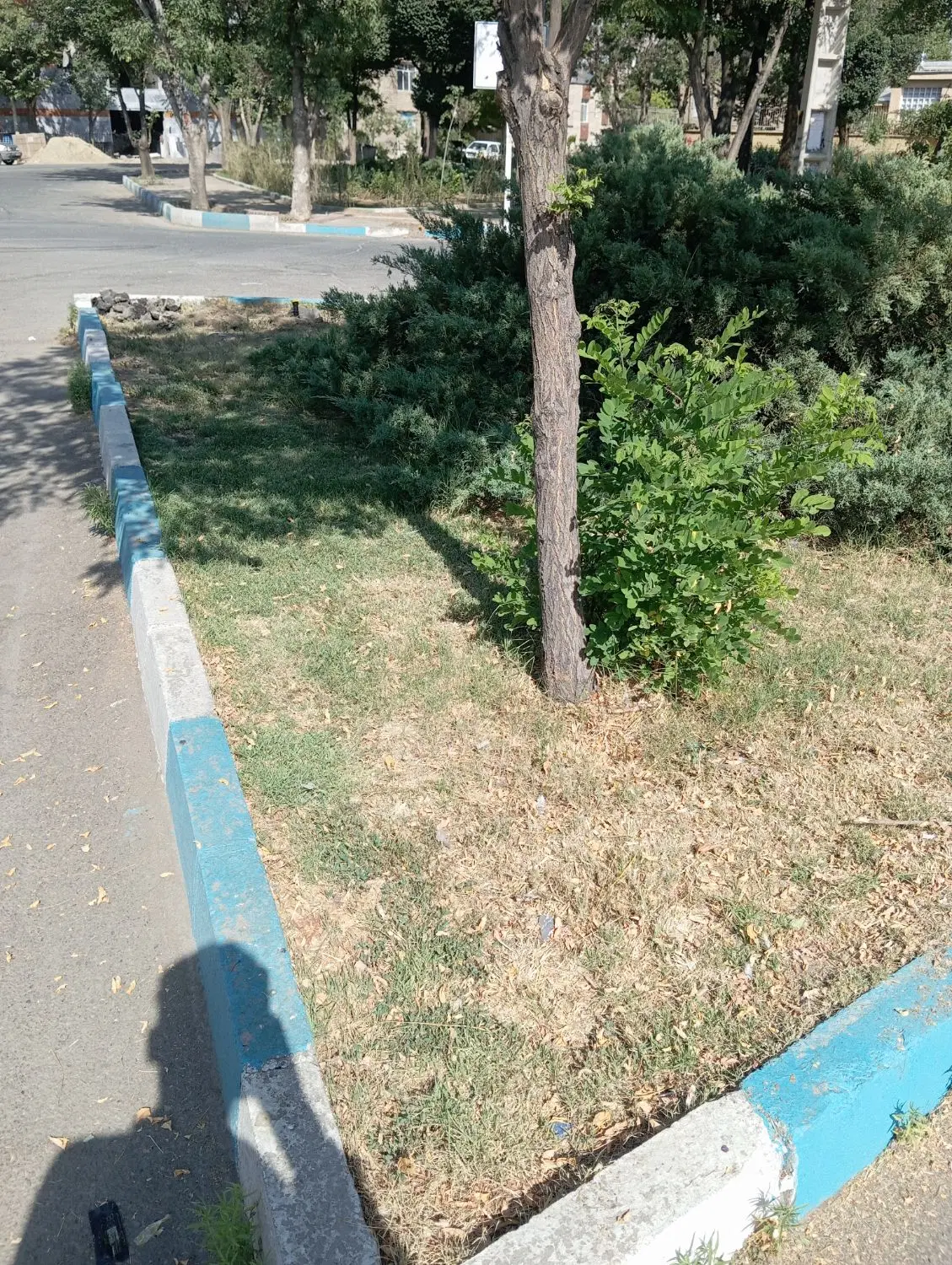 زمین باغی جاده ملایر