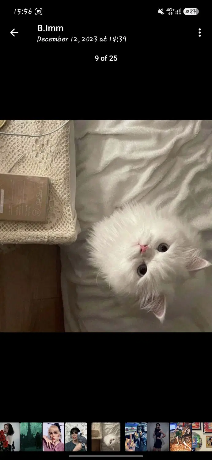 همخونه