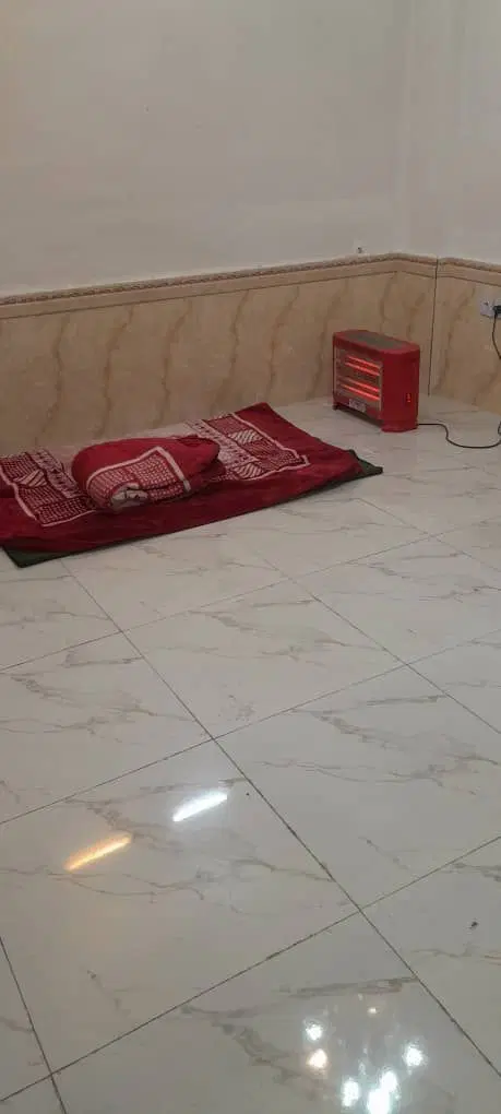 مجتمع ارغوان