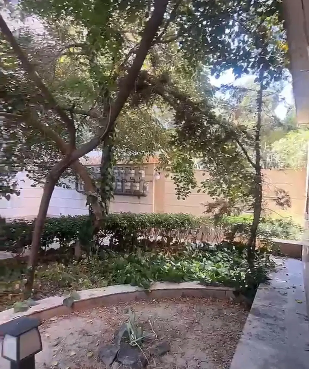 همخونه خانم موجه