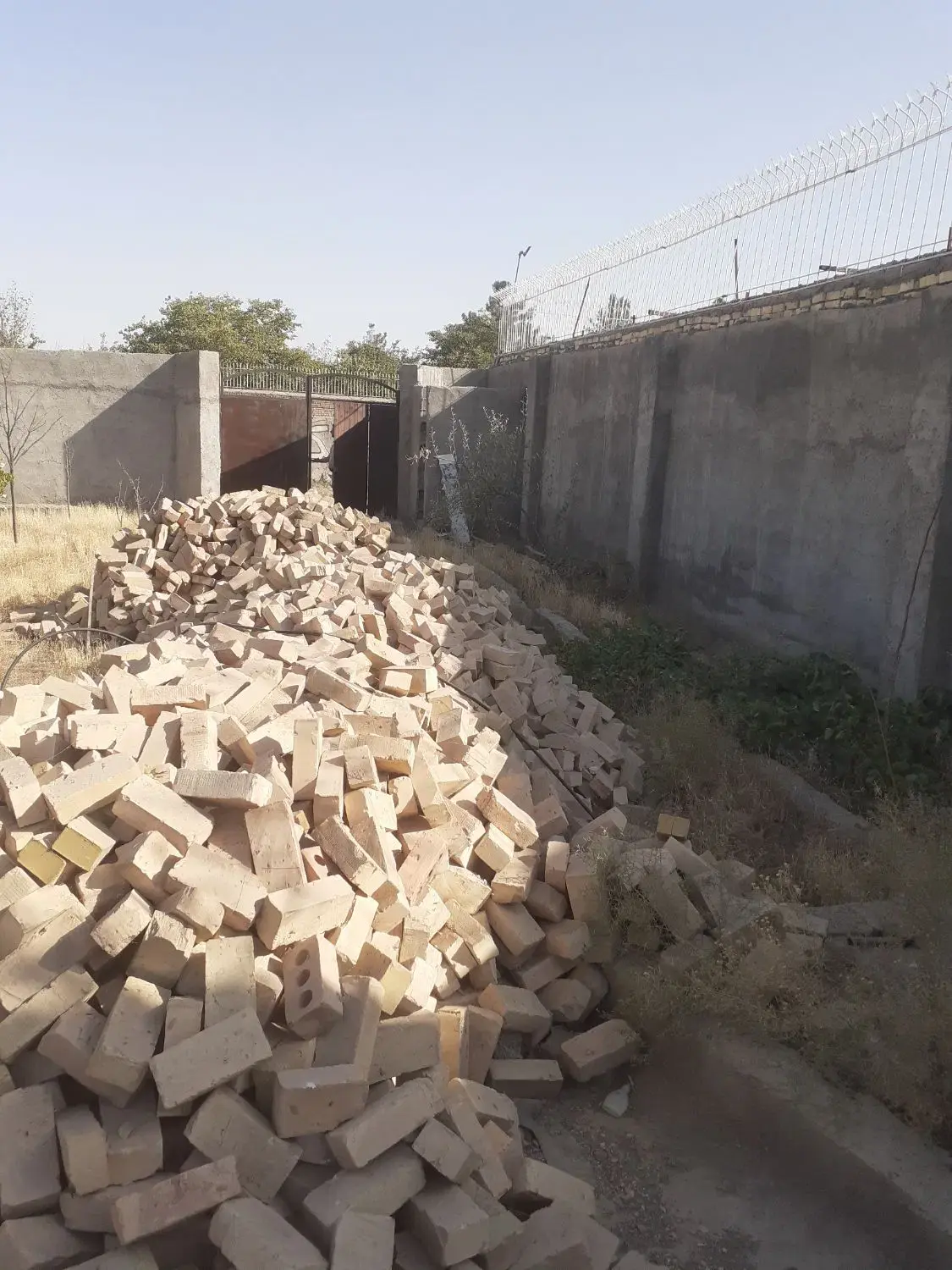 باغ امینیه