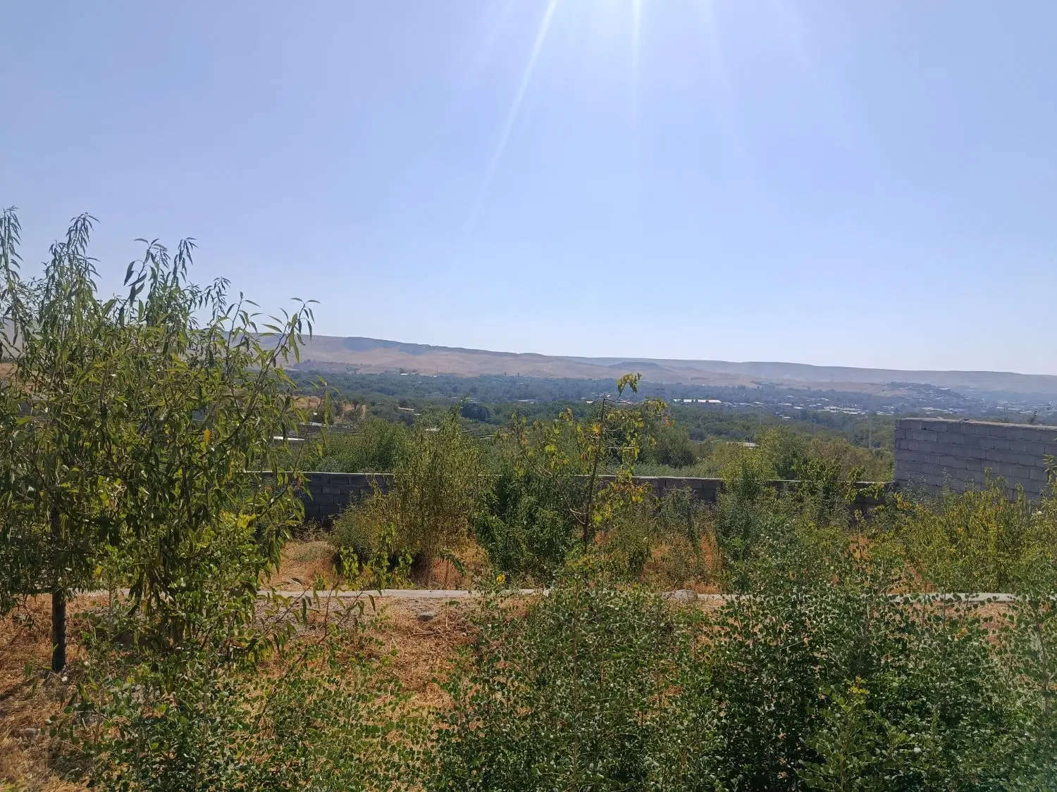 باغ ۵۰۰متری در دل اسکو
