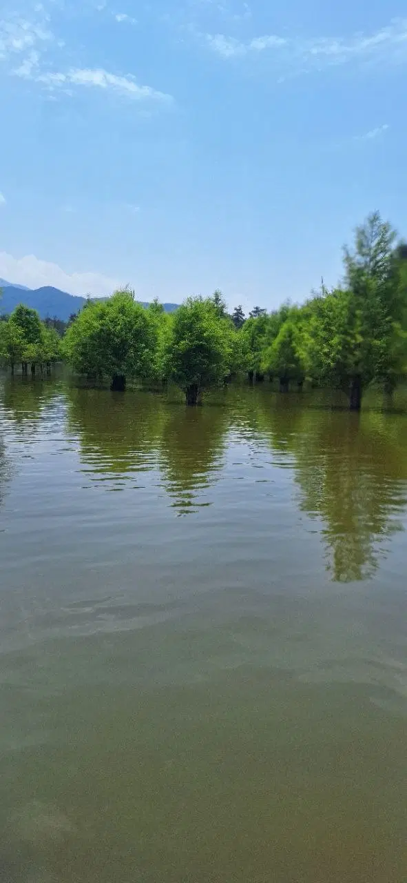 زمین ۱۳۳ متری با خانه کلنگی و سند در ساری