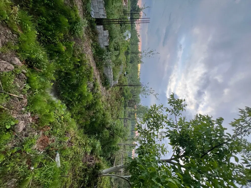 زمین