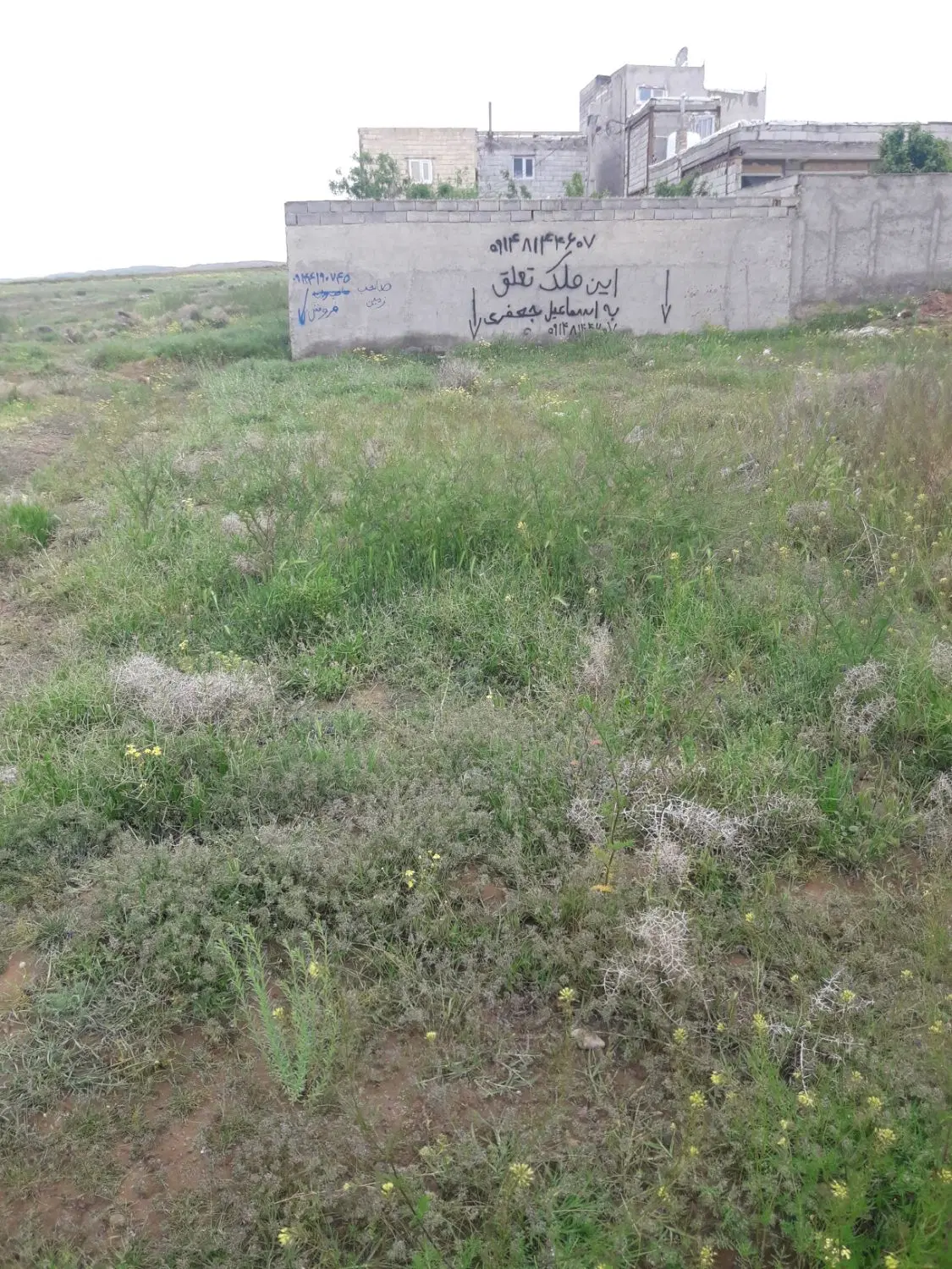 زمین آناخاتون