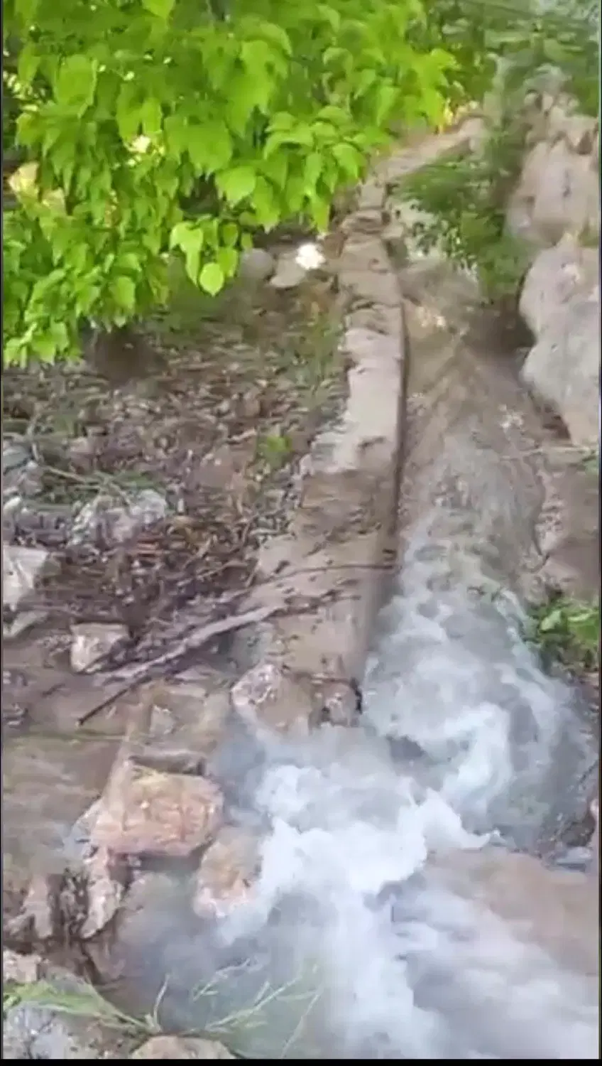 فروش زمین باغی