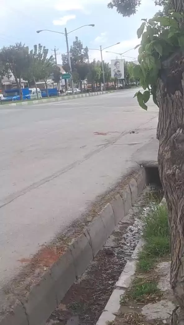 یک باب مغازه دو دهنه جهت نمایشگاه  امیرکبیر