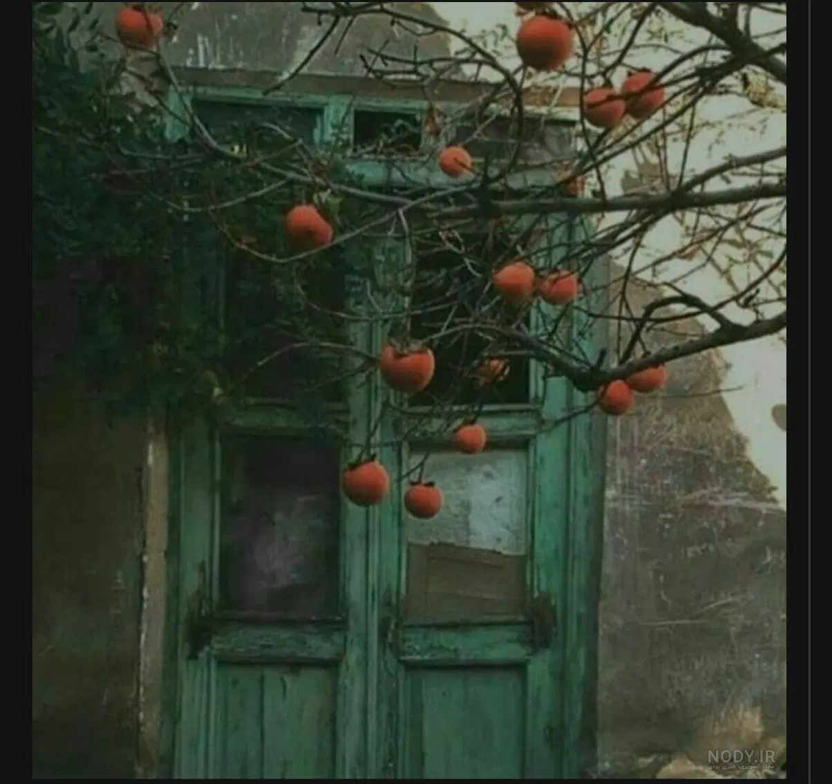 منزل ویلایی فروشی جام جم ۶
