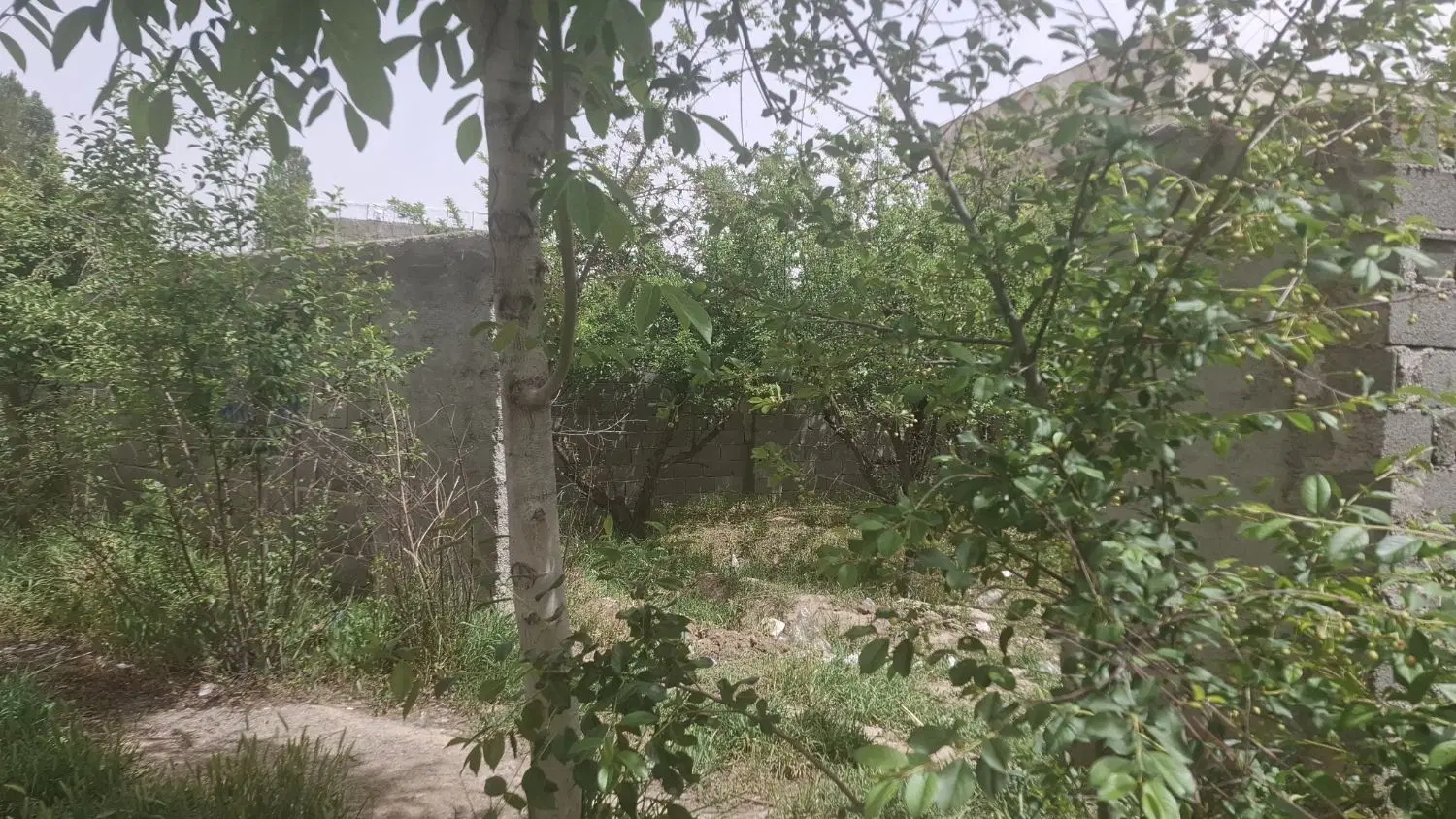 زمین فروشی