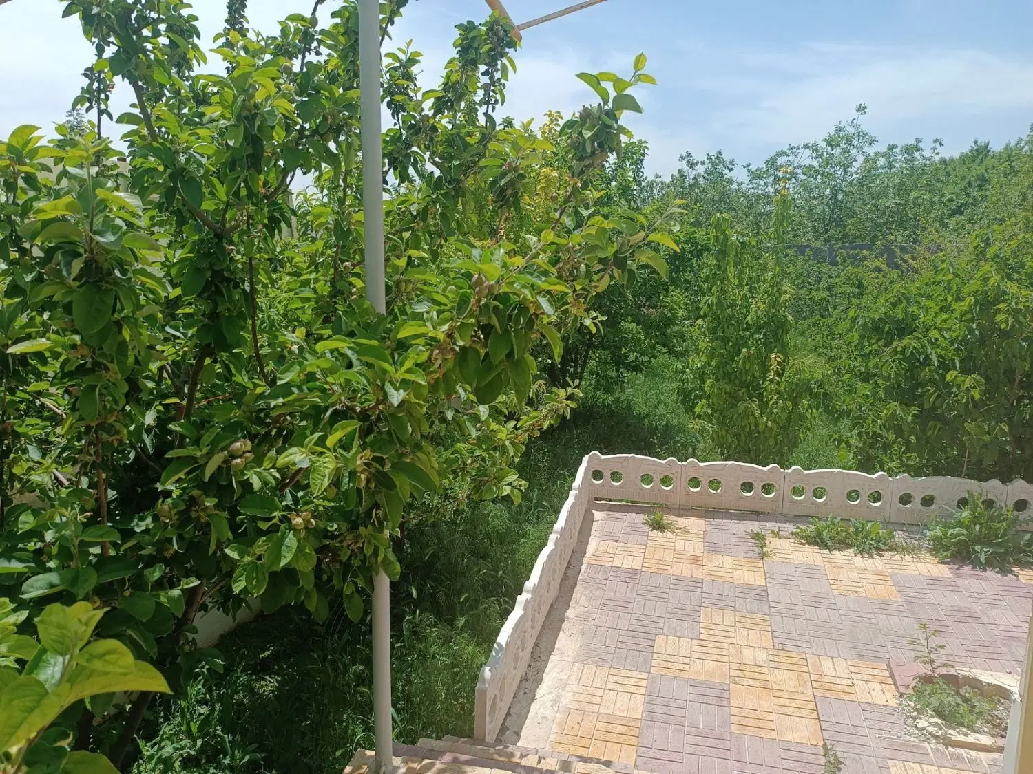 فروش ،زمین مسکون آوج ،نقد،،کسری خودرو