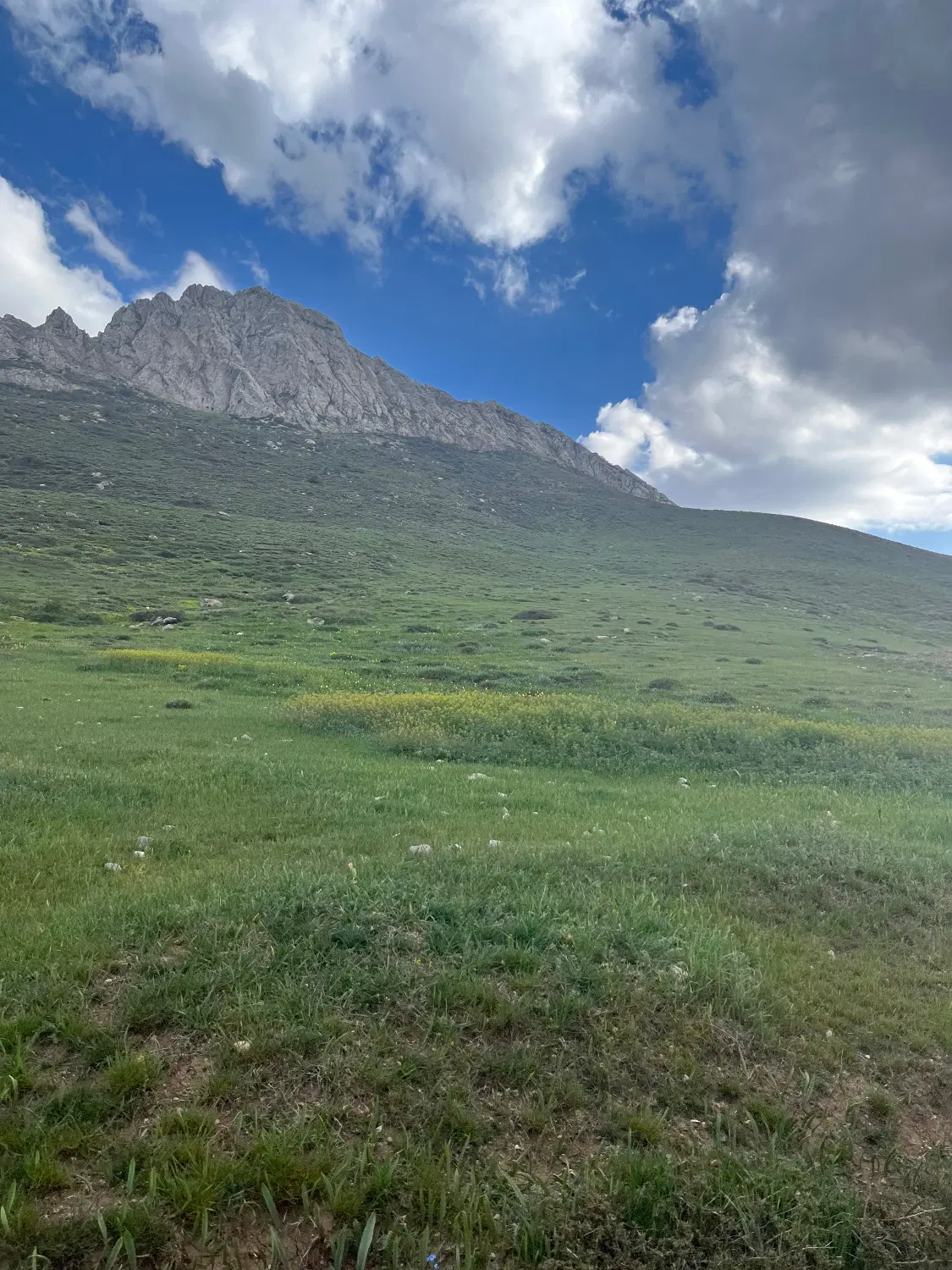 زمین سله بن فیروزکوه چزدکین