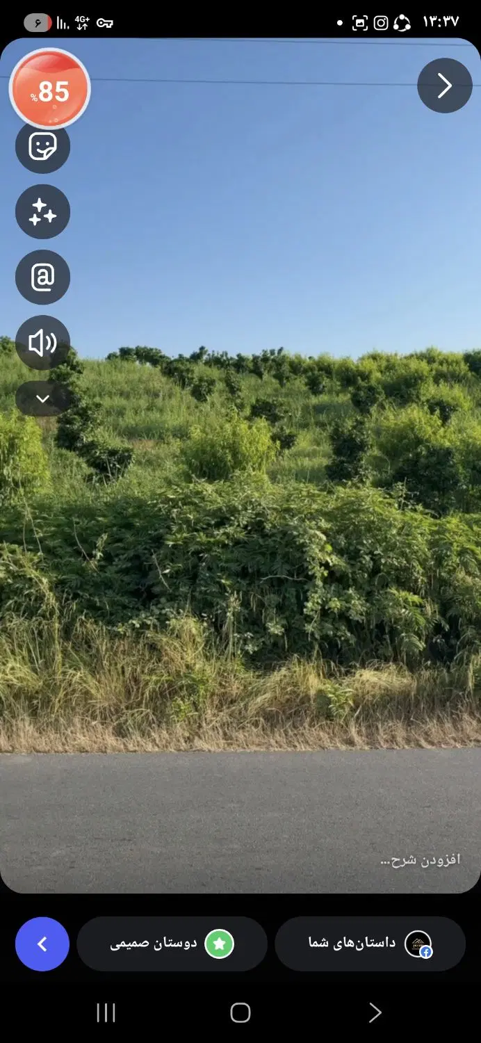 فروش زمین مرکبات