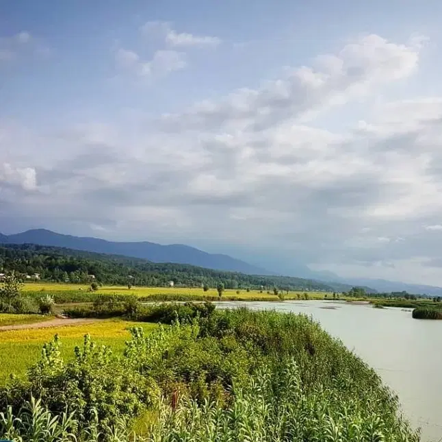 زمین مسکونی در شهر سنگر روستای کنسستان