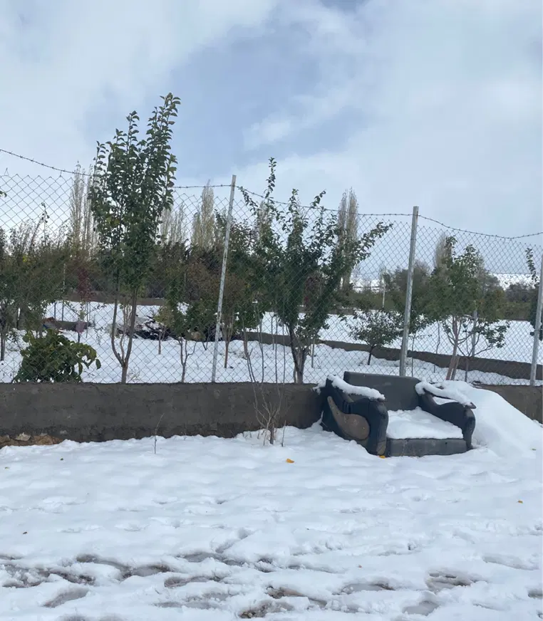 باغ اسوران  ۵۶۲متر