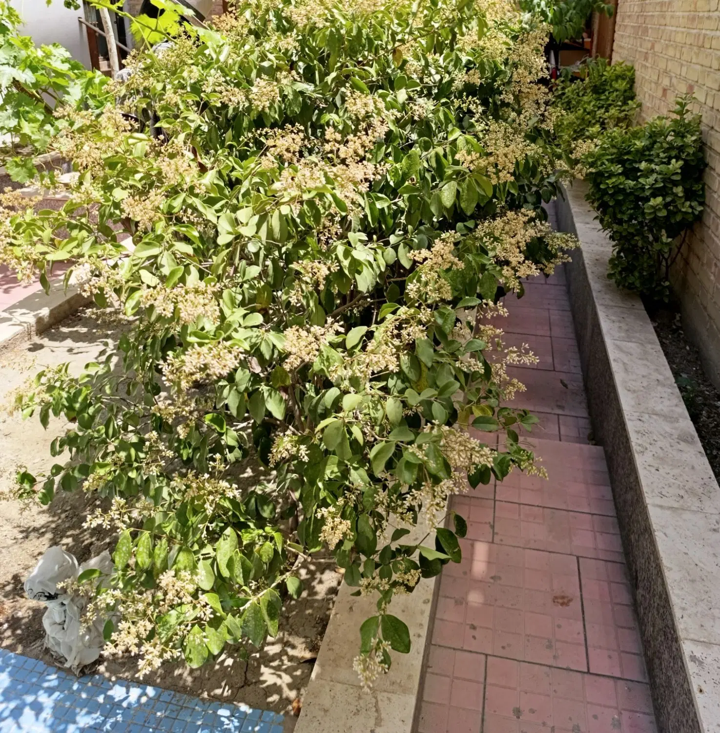 ملک مناسب سالن مطالعه و کافه کتاب