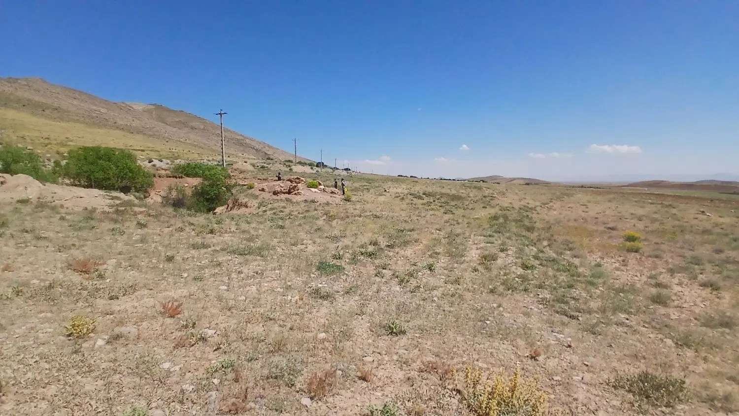 زمین آینده دار کشاورزی