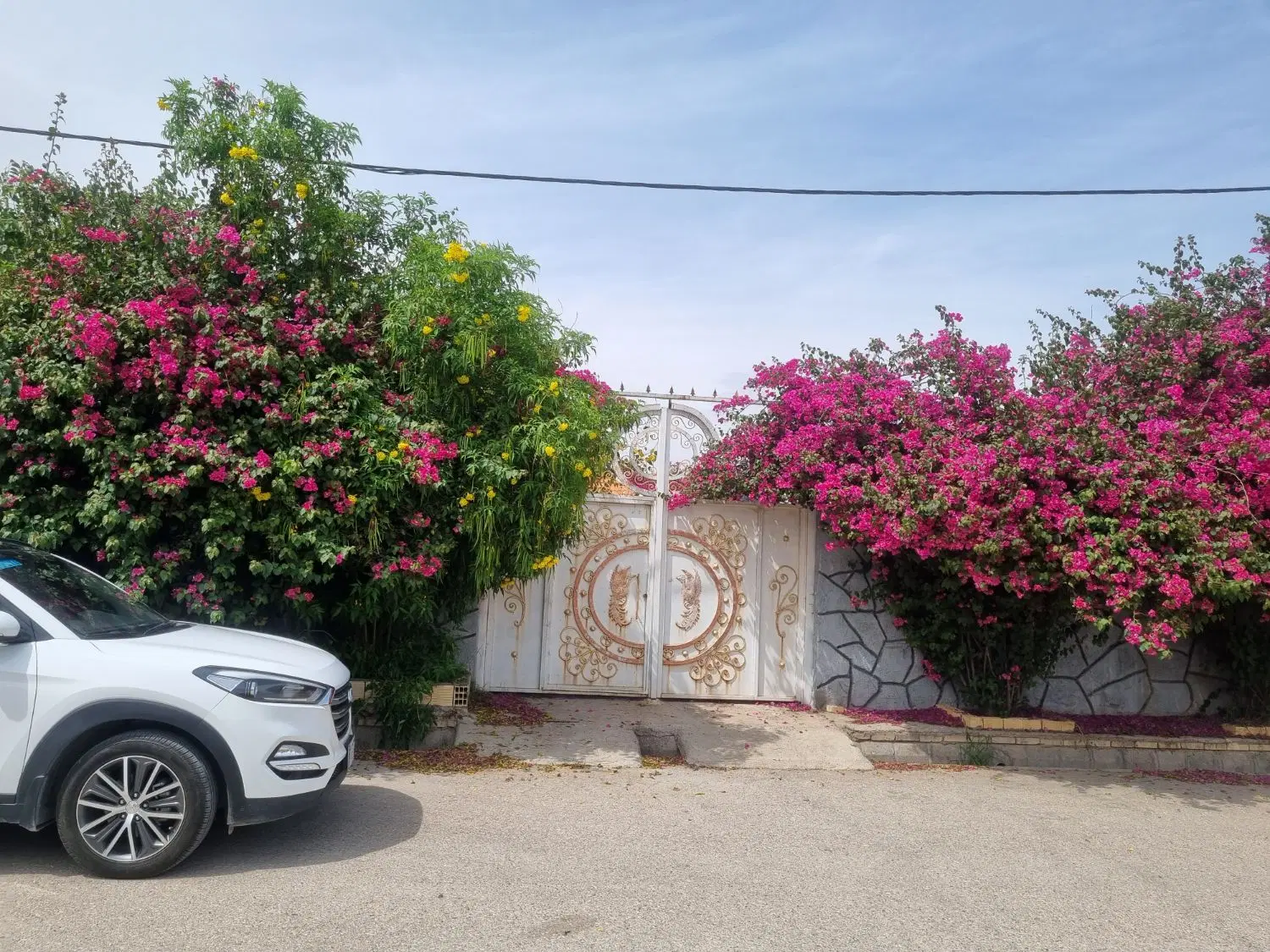 ویلا باغ ۷۵۰ متری شهرک بنوار ناظر