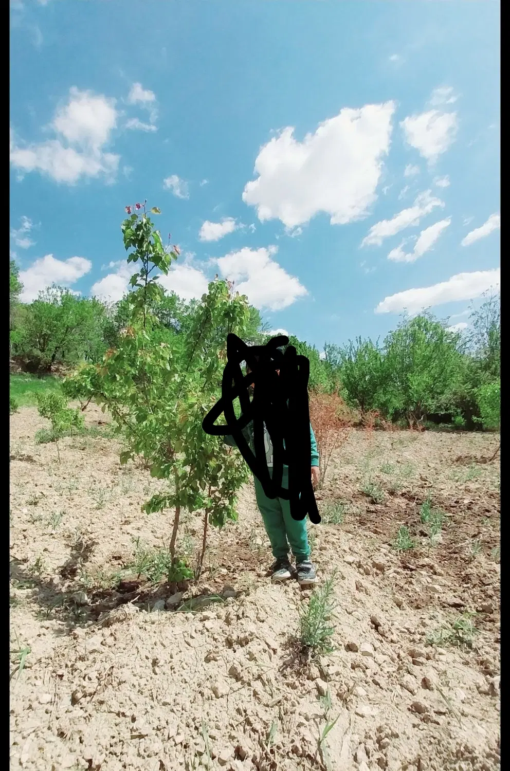 ۲قطعه زمین در شهرک هدایت باغ وزیری ودرحسینیه۱۹