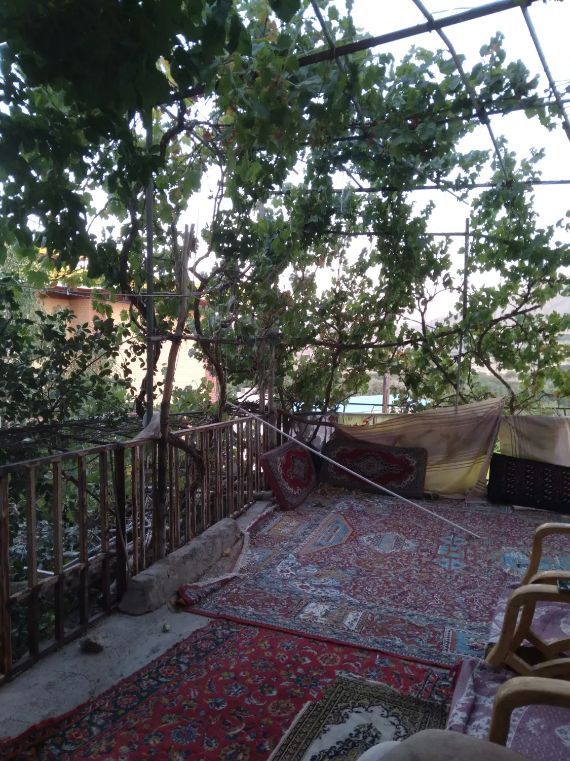 اجاره مغازه در پاساژ عصرجدید
