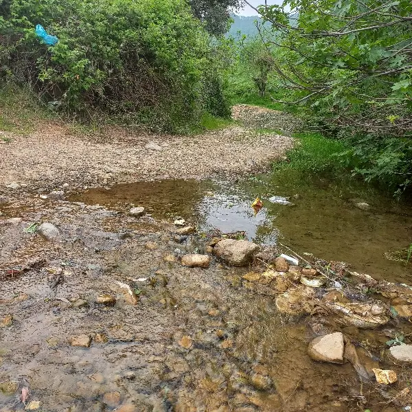 زمین گالیکش