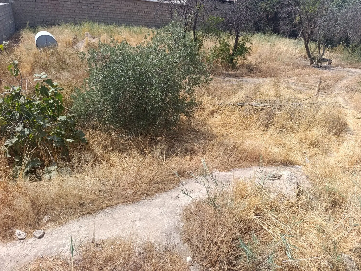 فروش زمین سلطان آباد