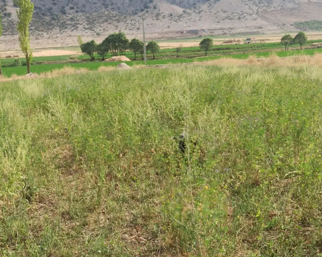 زمین فروشی