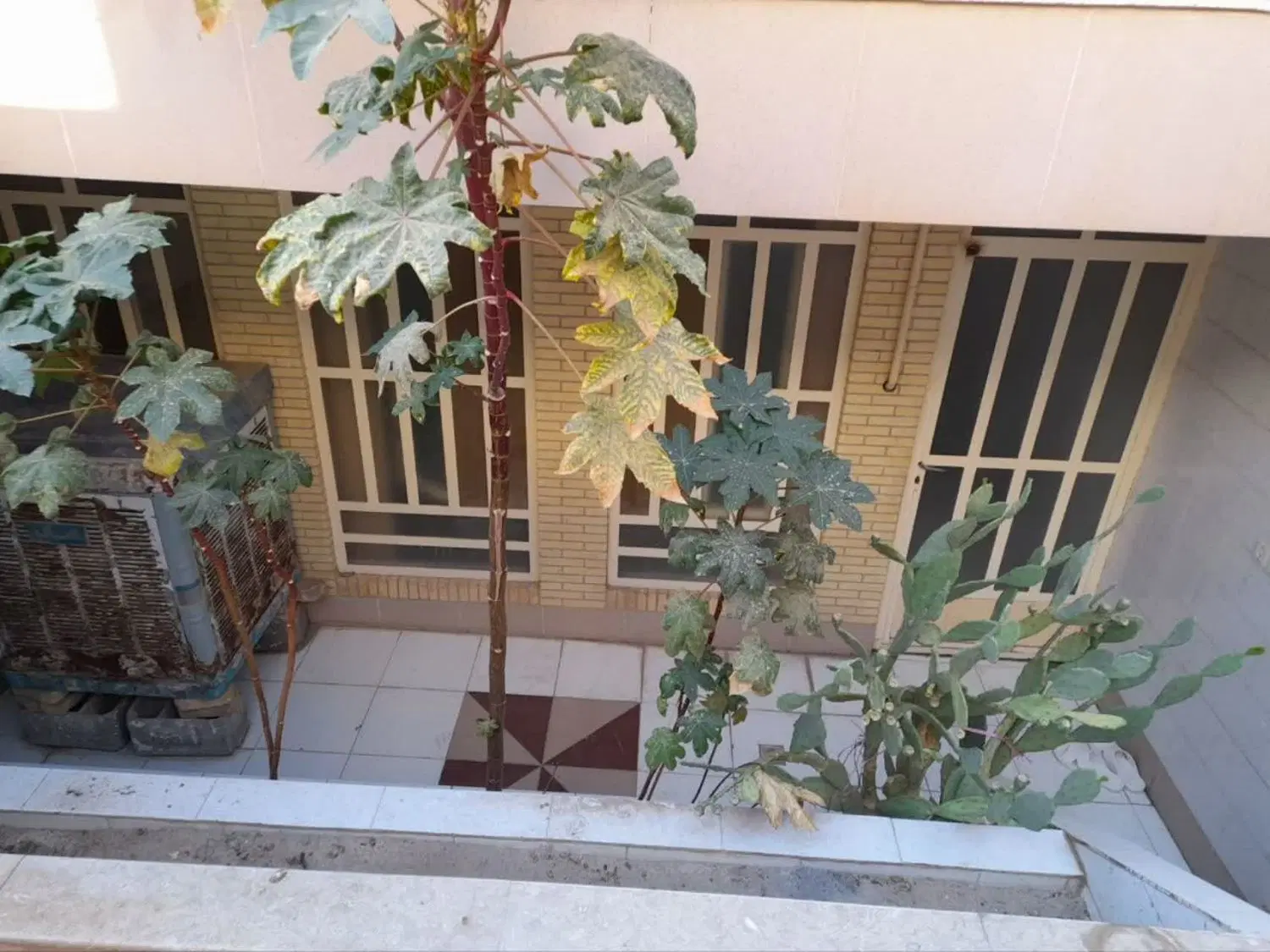 منزل نیم طبق کوچه زیتون دربست