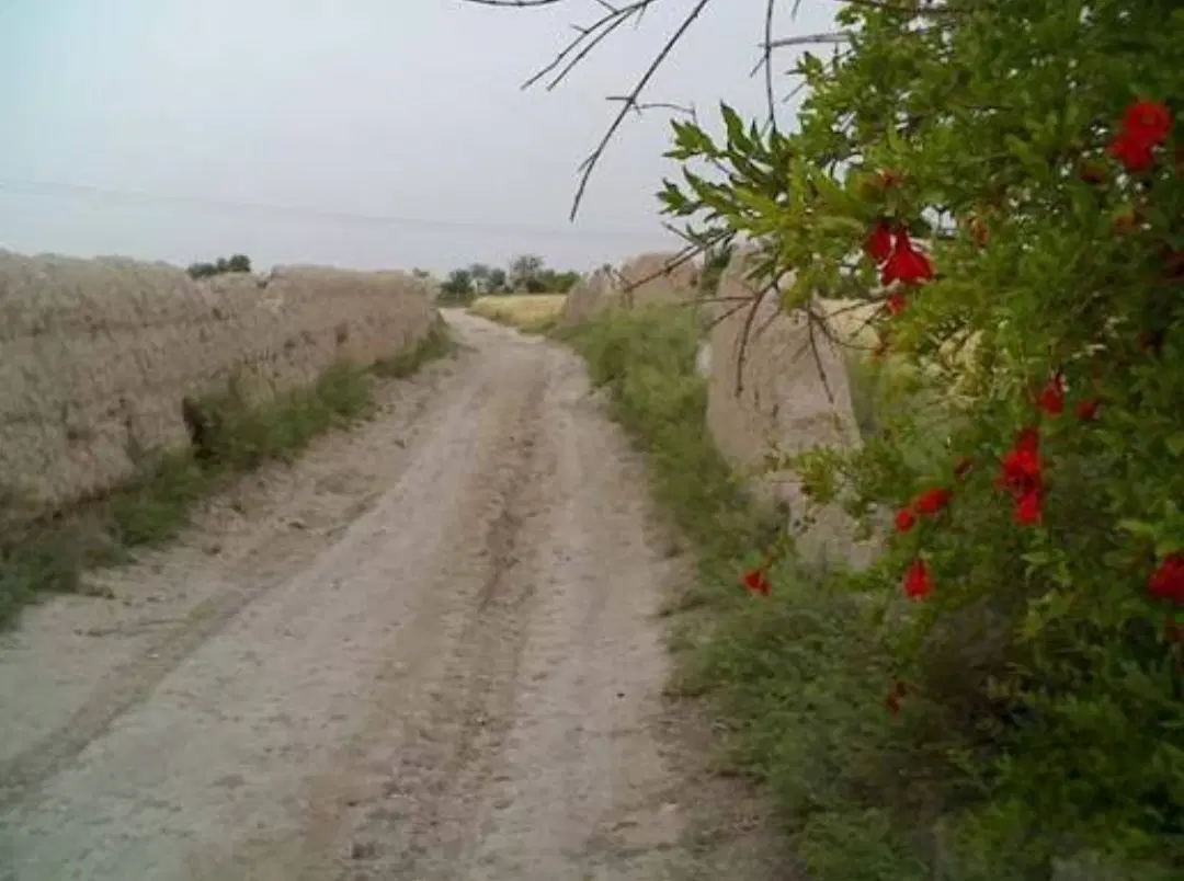 زمین کشاورزی روستای رستم آباد ۴۰۰۰متر